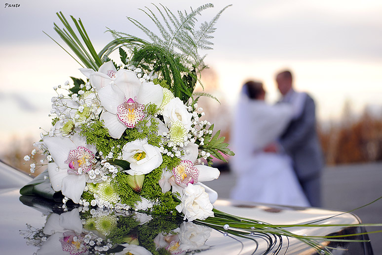 Фото жизнь (light) - Andrey Pareto - WEDDING - ...