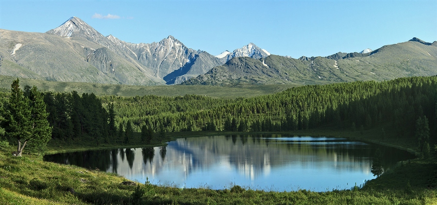 Фото жизнь