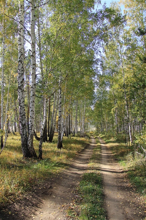 Фото жизнь