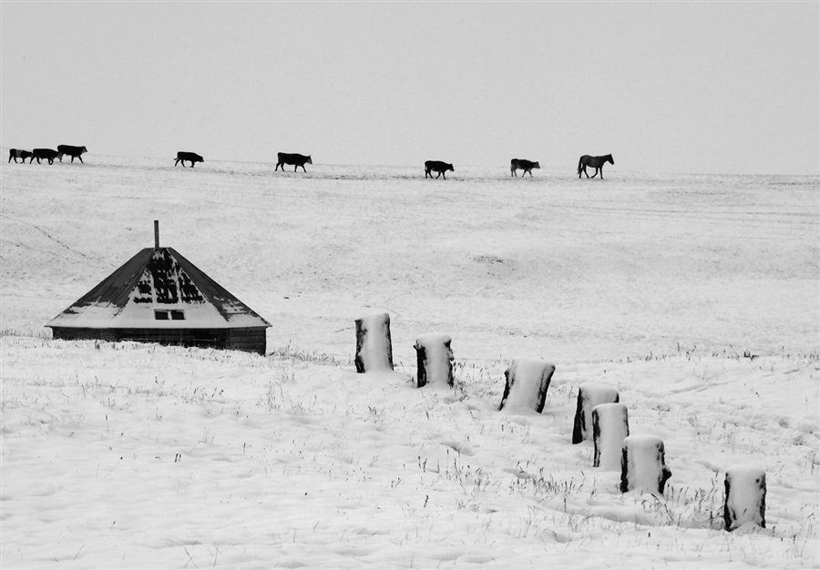 Фото жизнь