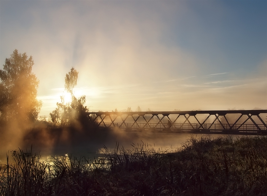 Фото жизнь
