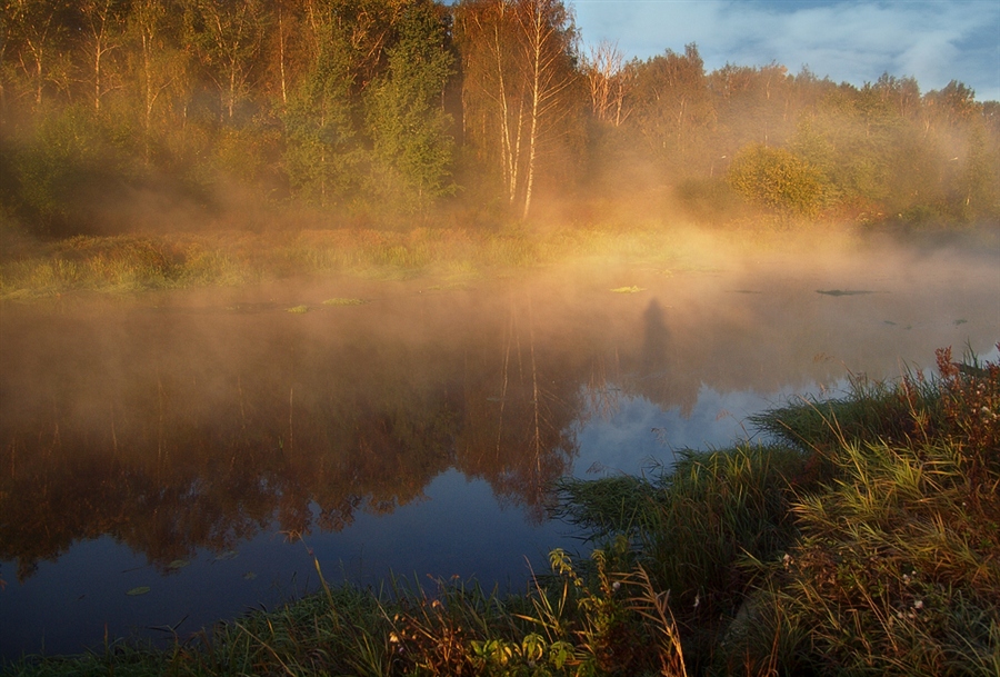 Фото жизнь