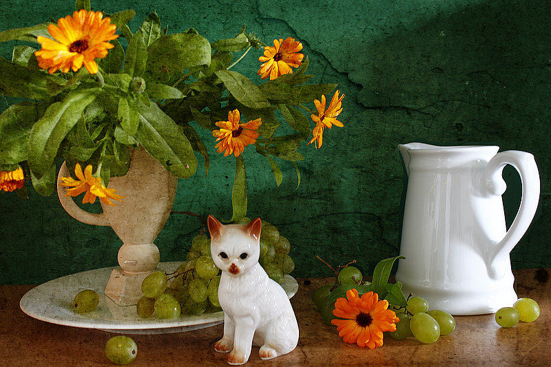 Фото жизнь (light) - inna korobova - корневой каталог - натюрморт с маленьким котенком