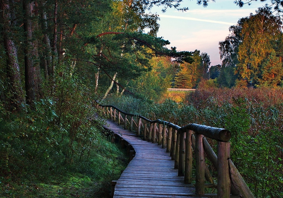 Фото жизнь