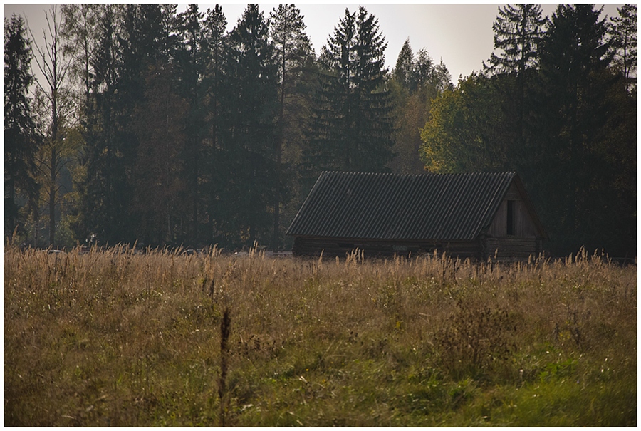 Фото жизнь