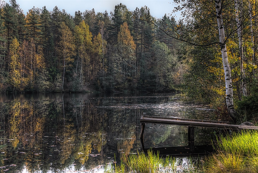 Фото жизнь