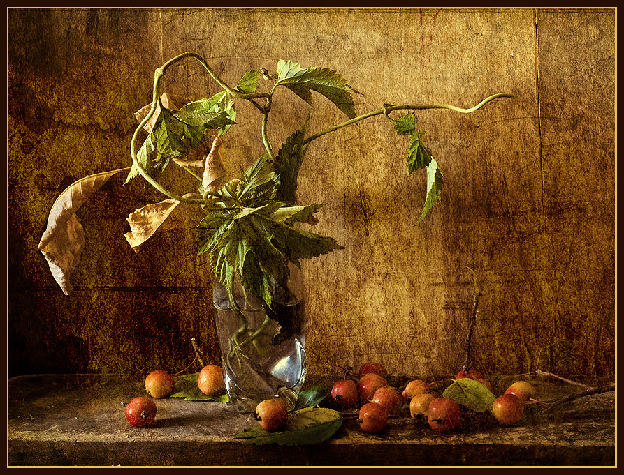 Фото жизнь (light) - Октай Гусейнов - корневой каталог - Райские яблоки