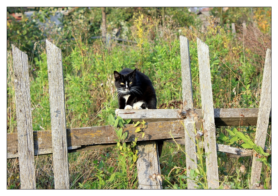 Фото жизнь