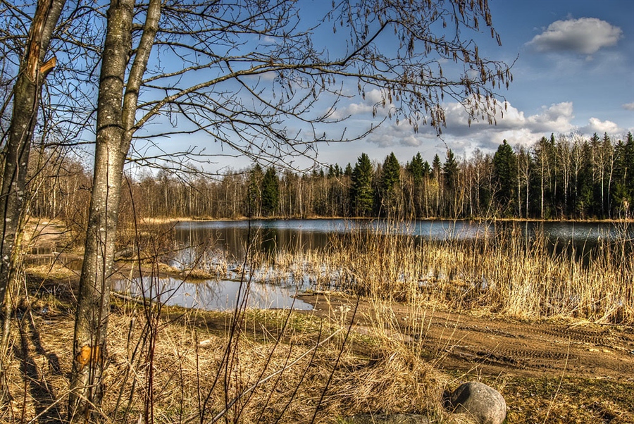 Фото жизнь