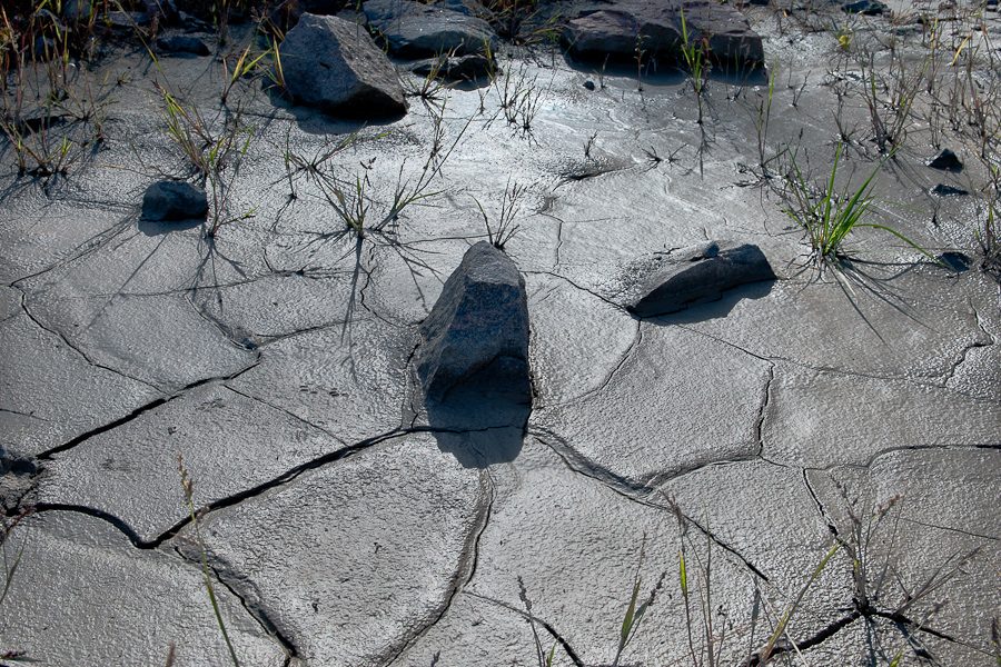 Фото жизнь (light) - Elena_Z - корневой каталог - ***