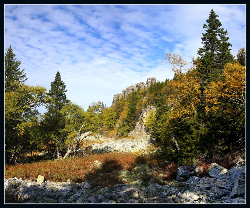Фото жизнь
