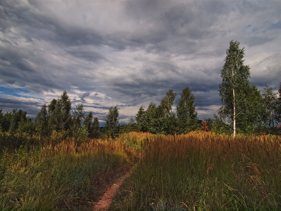 Фото жизнь