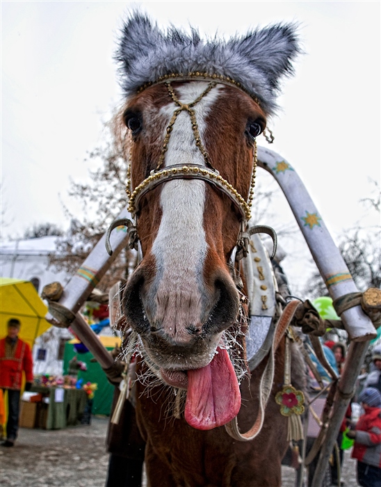 Фото жизнь