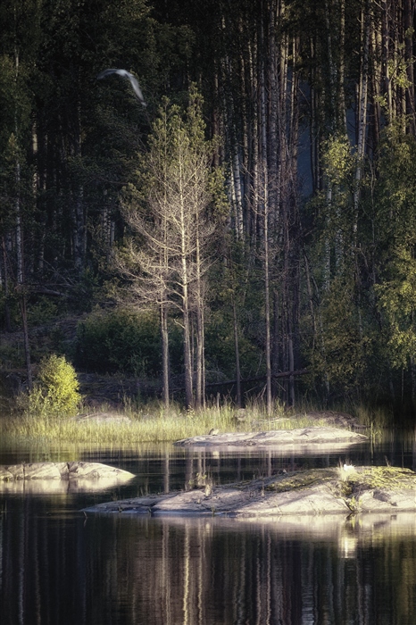 Фото жизнь