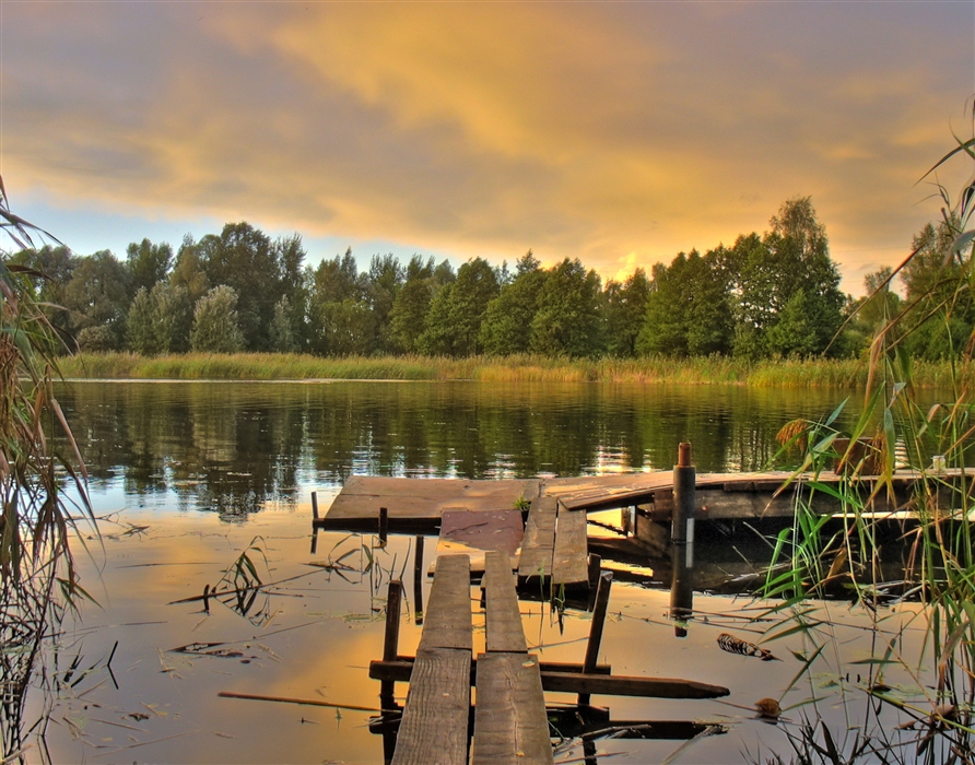 Фото жизнь