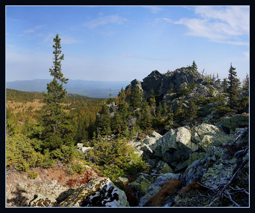 Фото жизнь