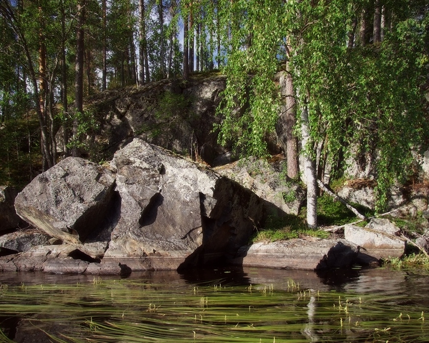 Фото жизнь