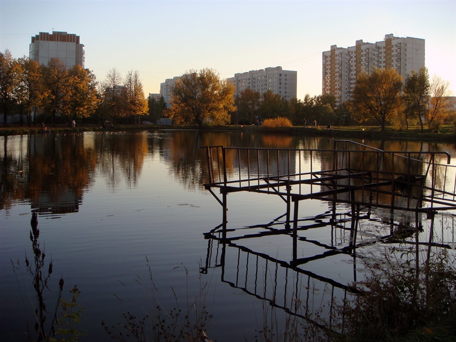 Фото жизнь