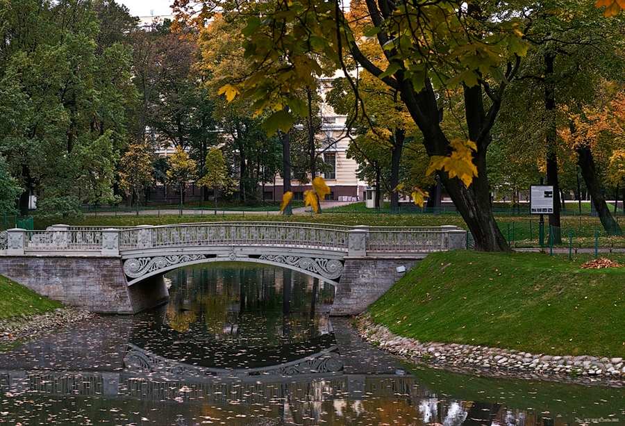 Фото жизнь