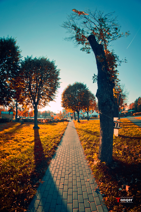 Фото жизнь (light) - Tonqer - Среда. - *