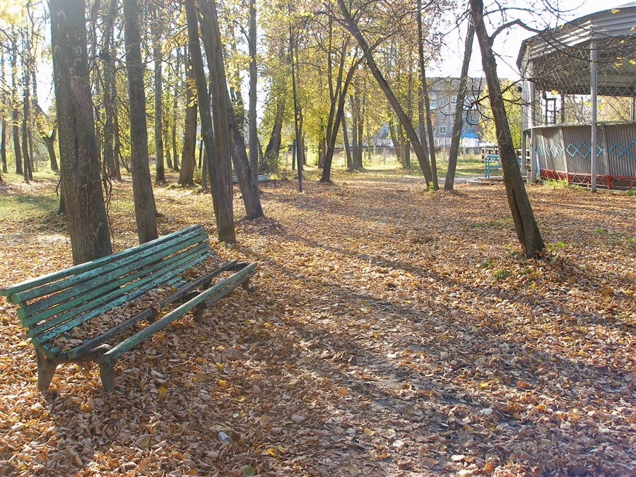 Фото жизнь