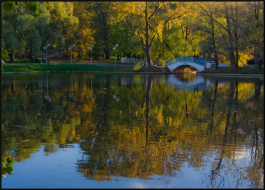 Фото жизнь