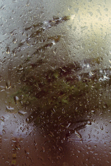 Фото жизнь - SchizoiD - OBJs - сквозь капли дождя