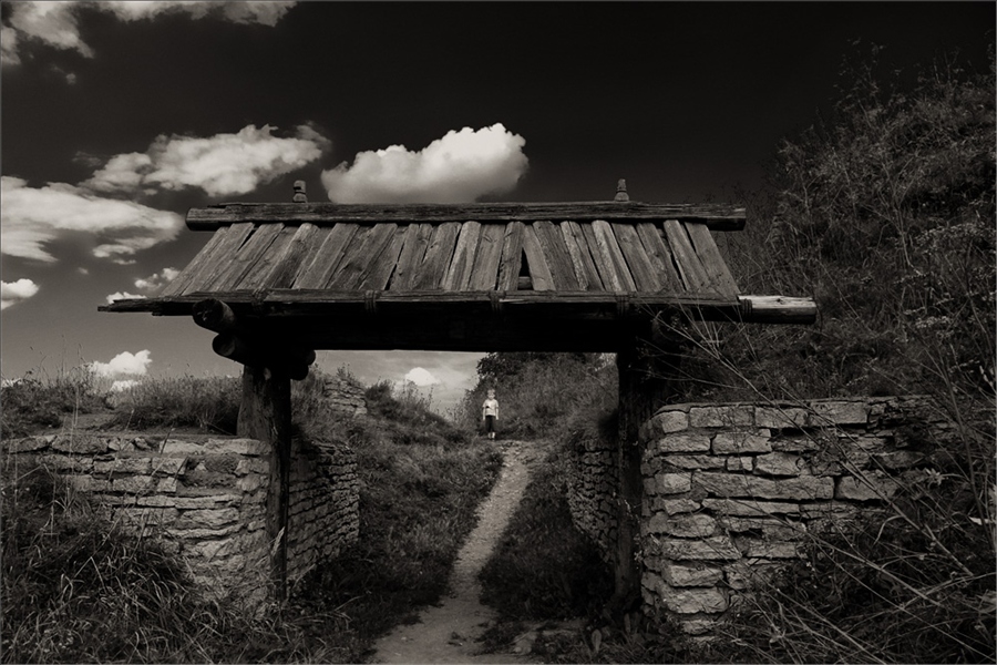 Фото жизнь