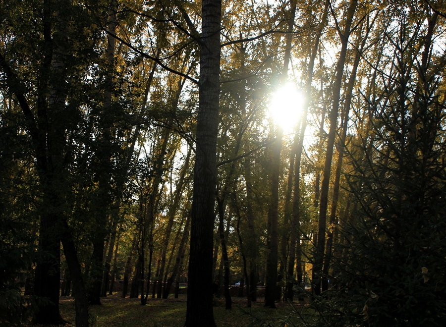 Фото жизнь