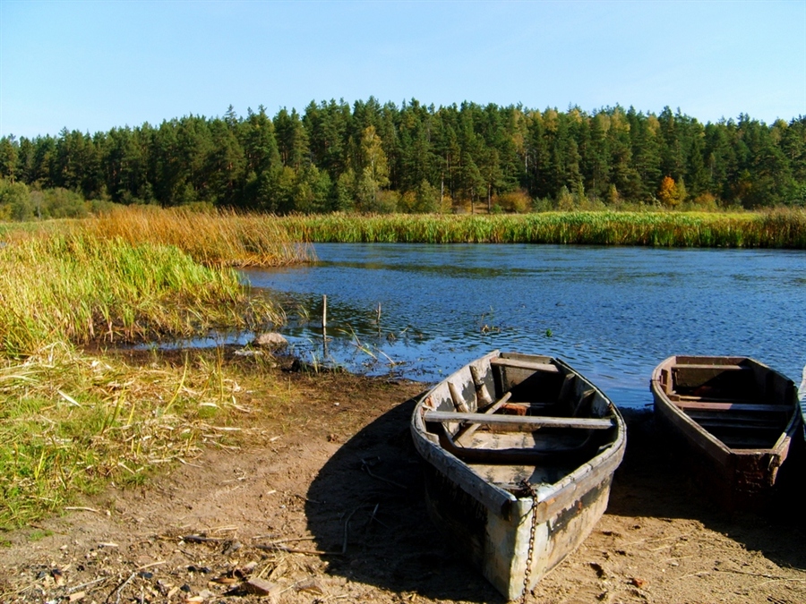 Фото жизнь