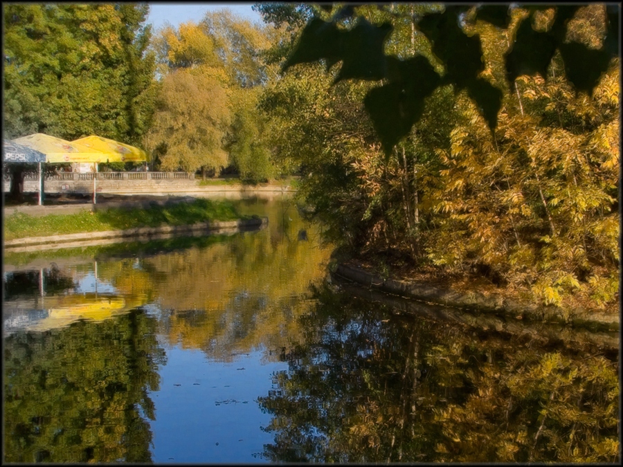 Фото жизнь