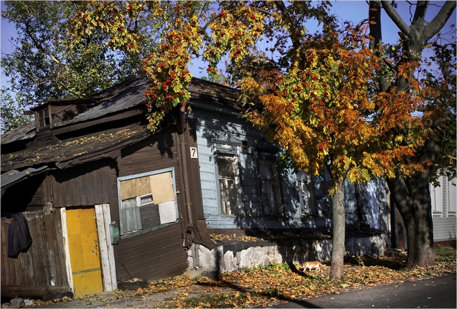 Фото жизнь
