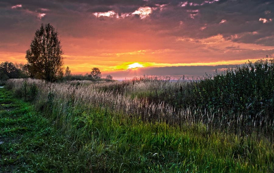 Фото жизнь