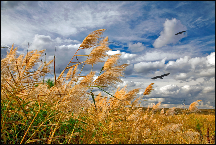 Фото жизнь (light) - Ivan2 - корневой каталог - Предосенннее.