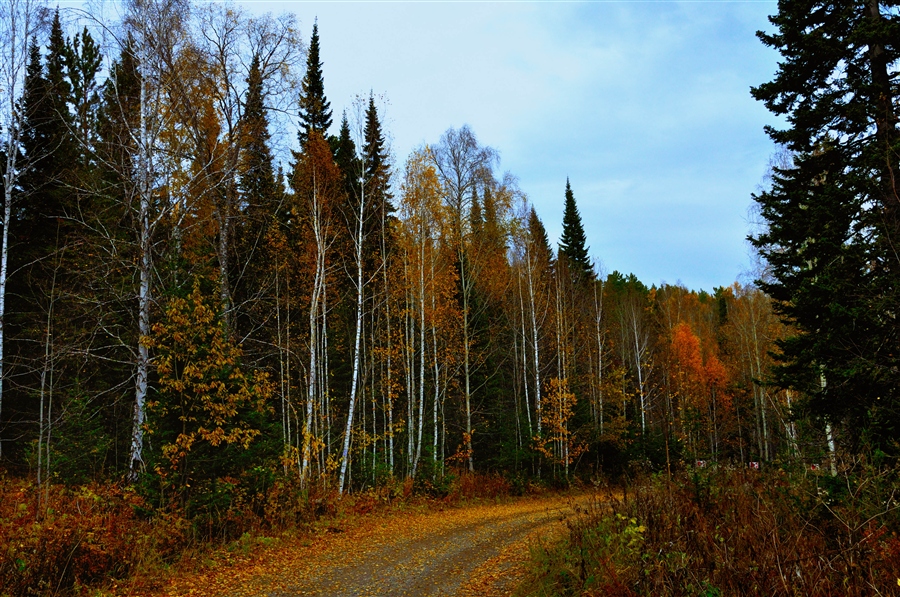 Фото жизнь
