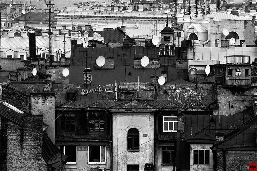 Фото жизнь