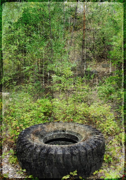 Фото жизнь