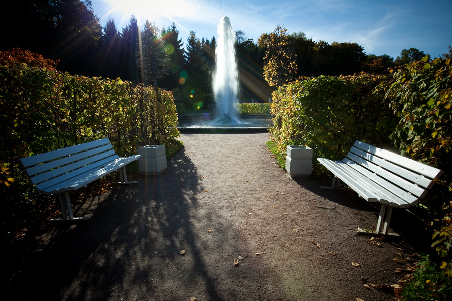 Фото жизнь (light) - Miranda - В парках и садах - ...