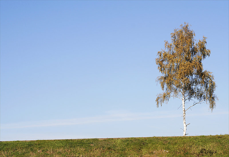 Фото жизнь (light) - kranichlein - Разное - Осень. Начало.