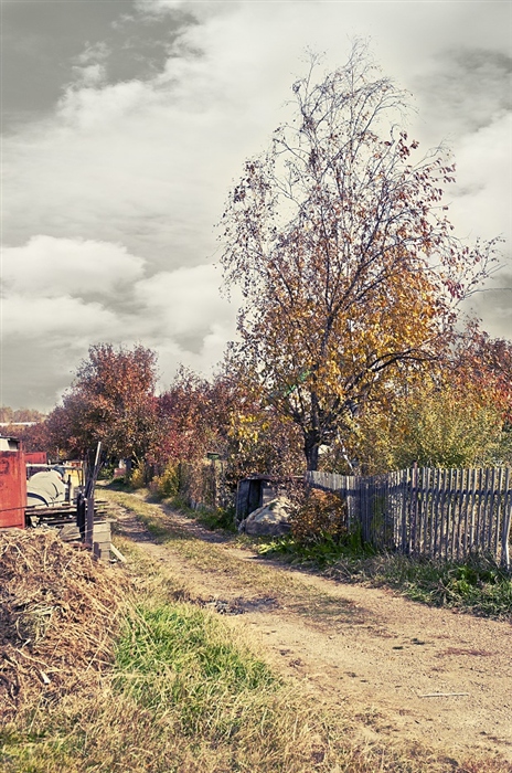 Фото жизнь
