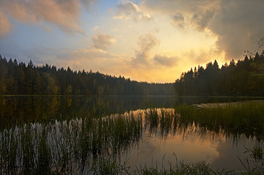Фото жизнь