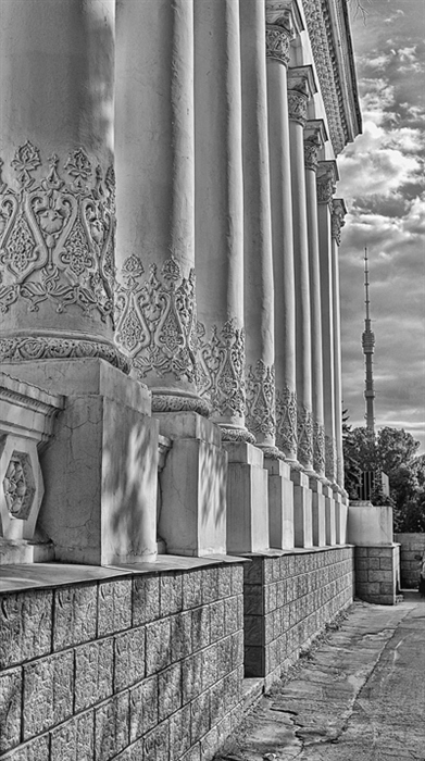 Фото жизнь
