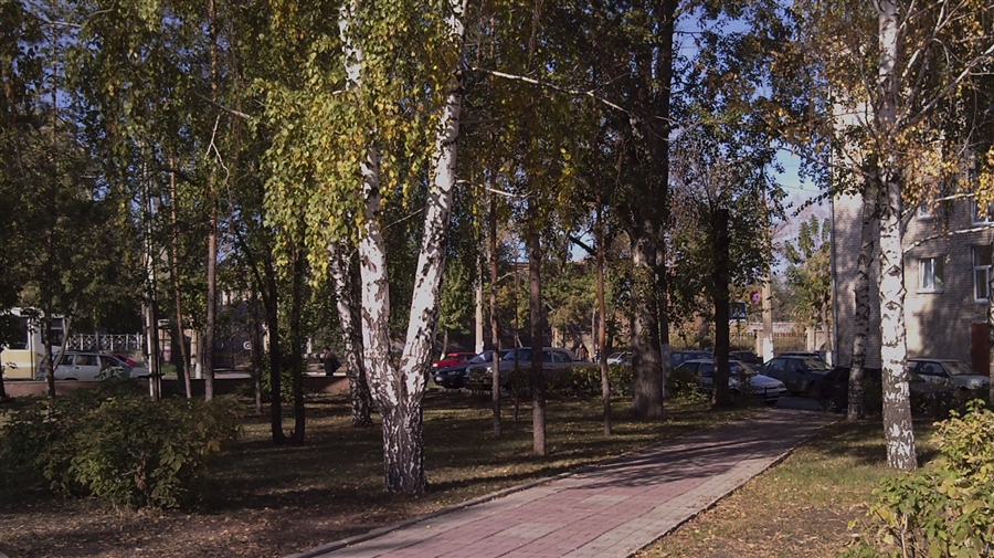 Фото жизнь