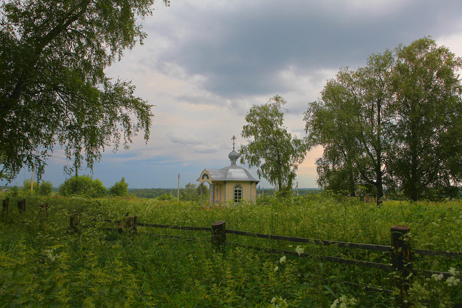 Фото жизнь