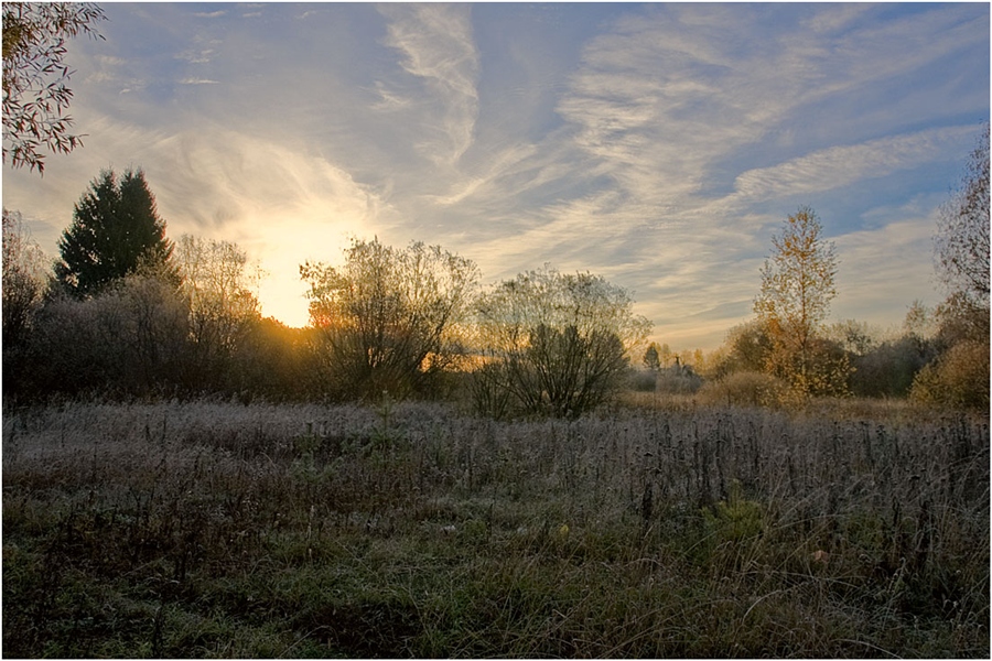 Фото жизнь