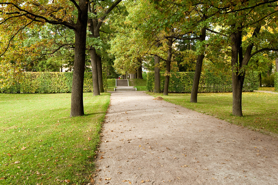 Фото жизнь (light) - Miranda - В парках и садах - ...