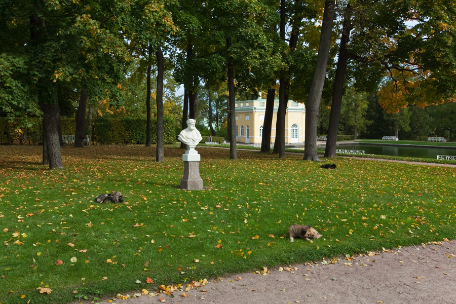 Фото жизнь (light) - Miranda - В парках и садах - охрана