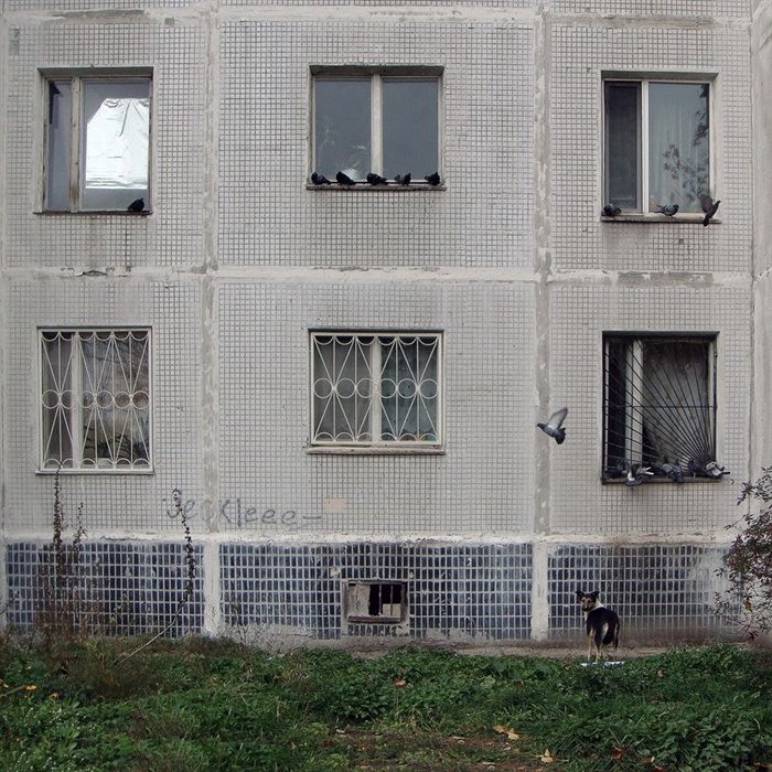 Фото жизнь