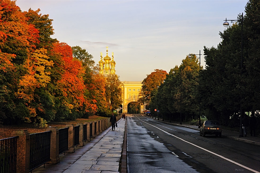 Фото жизнь