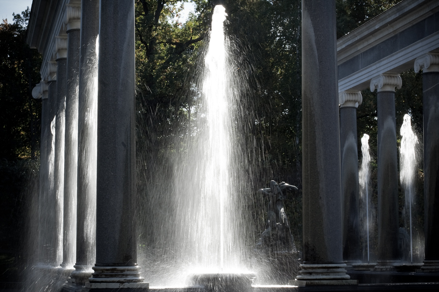 Фото жизнь (light) - Miranda - В парках и садах - ...